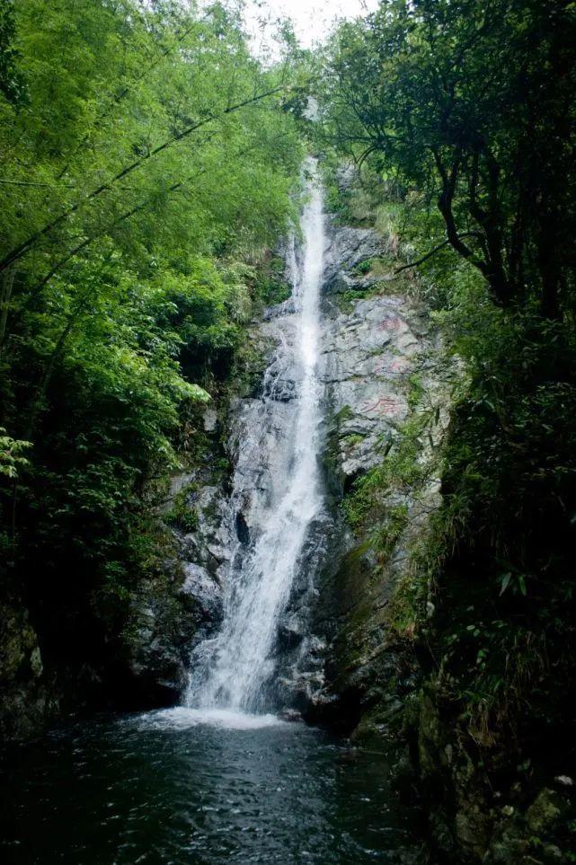 春雨直播app